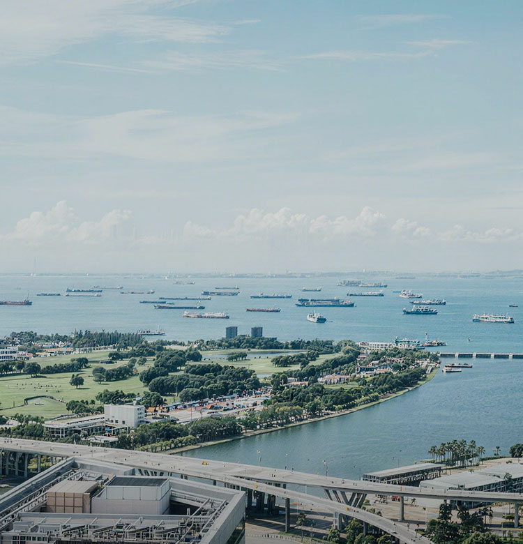 市政